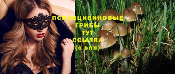 каннабис Осташков