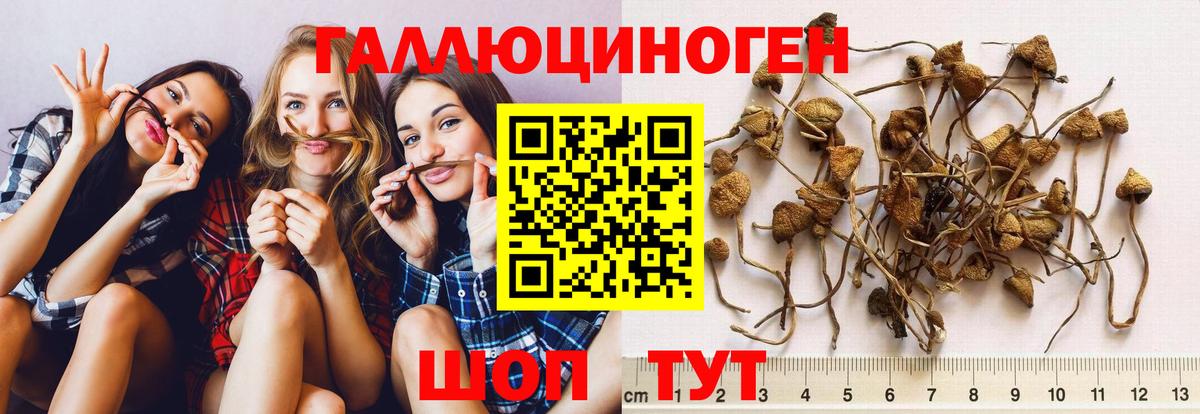 Галлюциногенные грибы мицелий  Вход с VPN  дарнет шоп  Уфа 